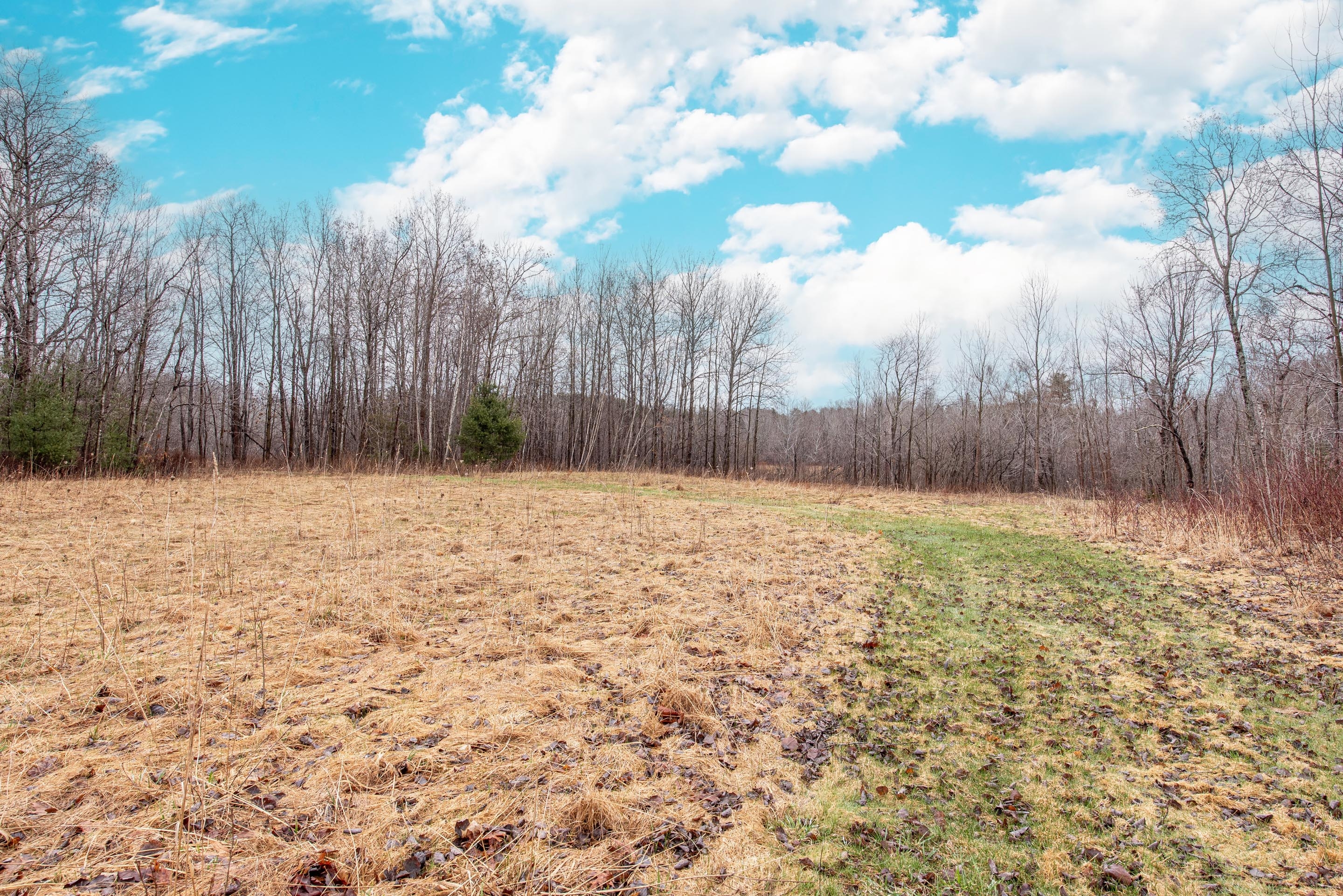 2217 old mill rd 24