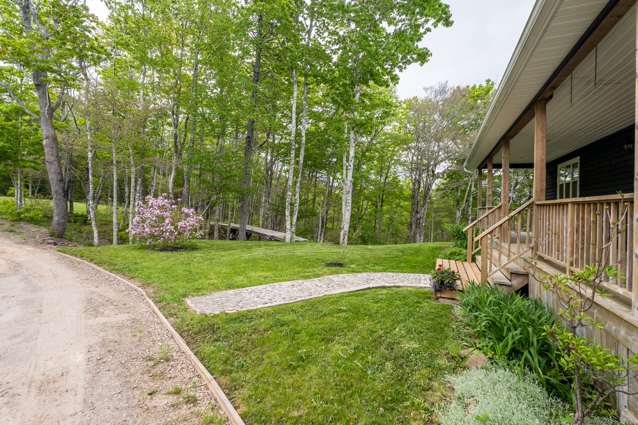 50-web-or-mls-3746-ns-358