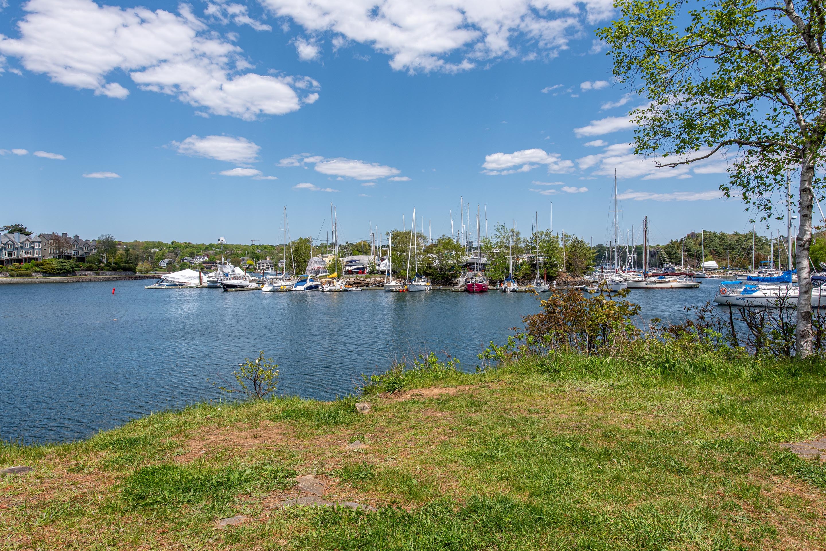 1245 purcells cove rd 33
