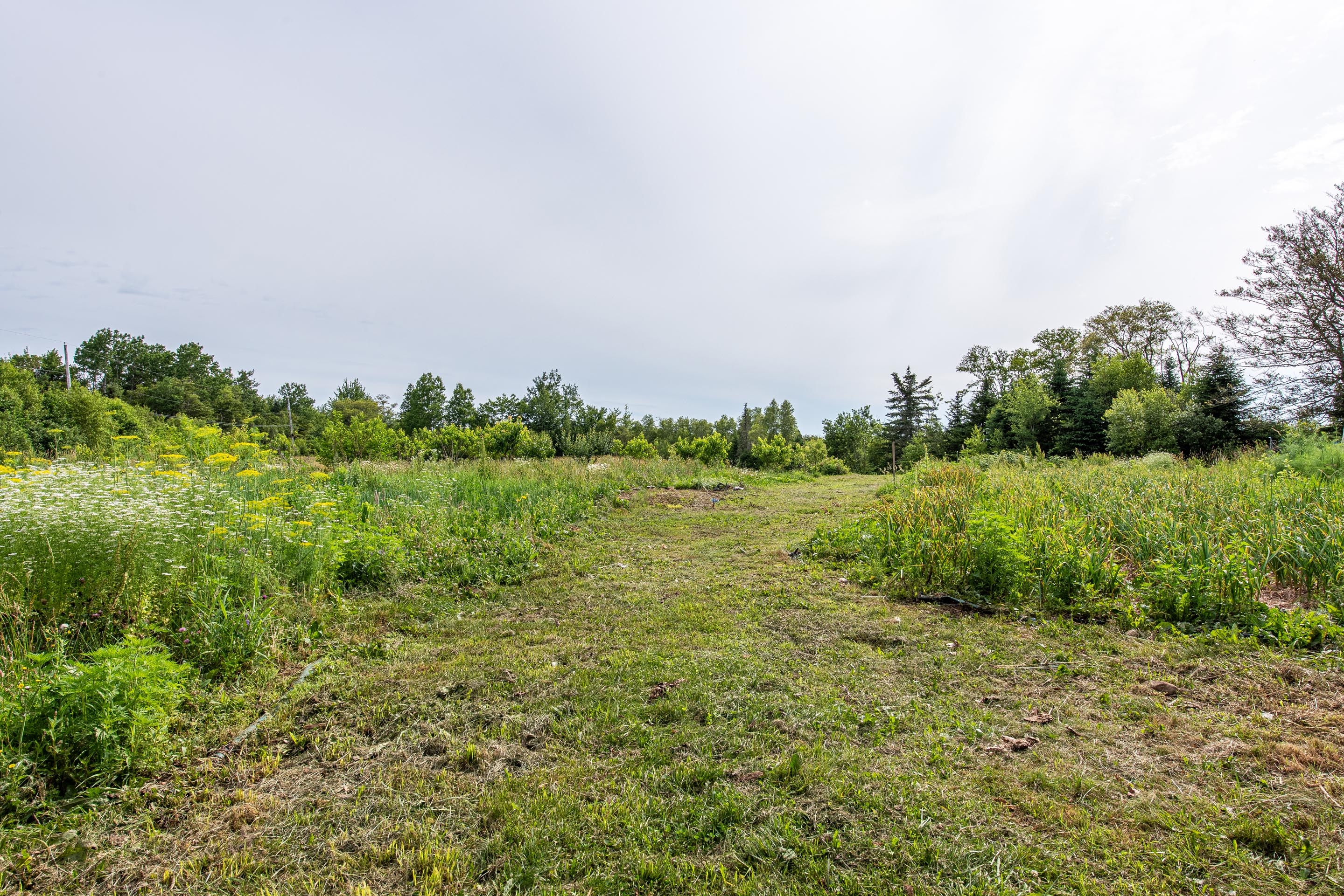 902 newtonville rd 44