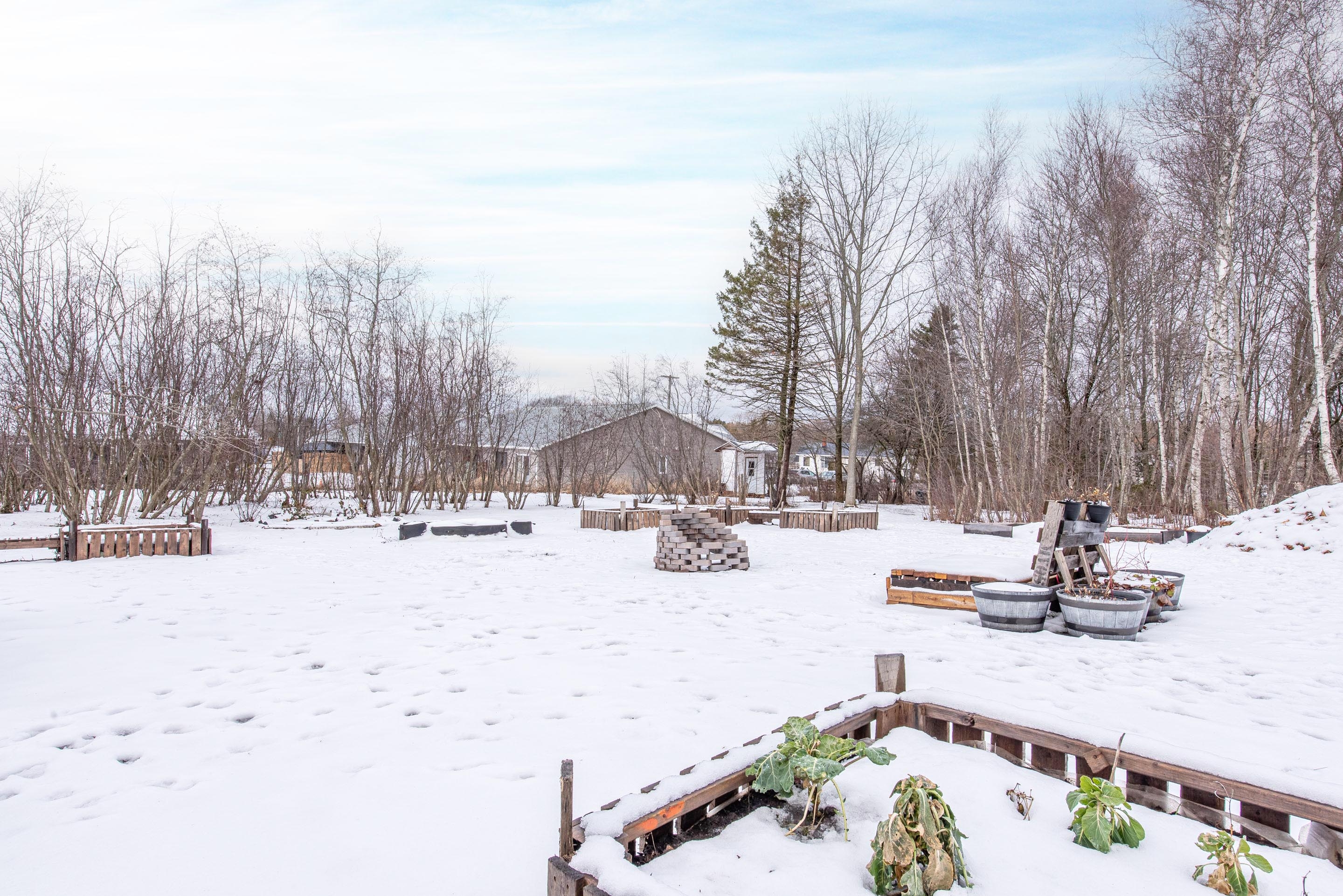 355 oak island rd 32