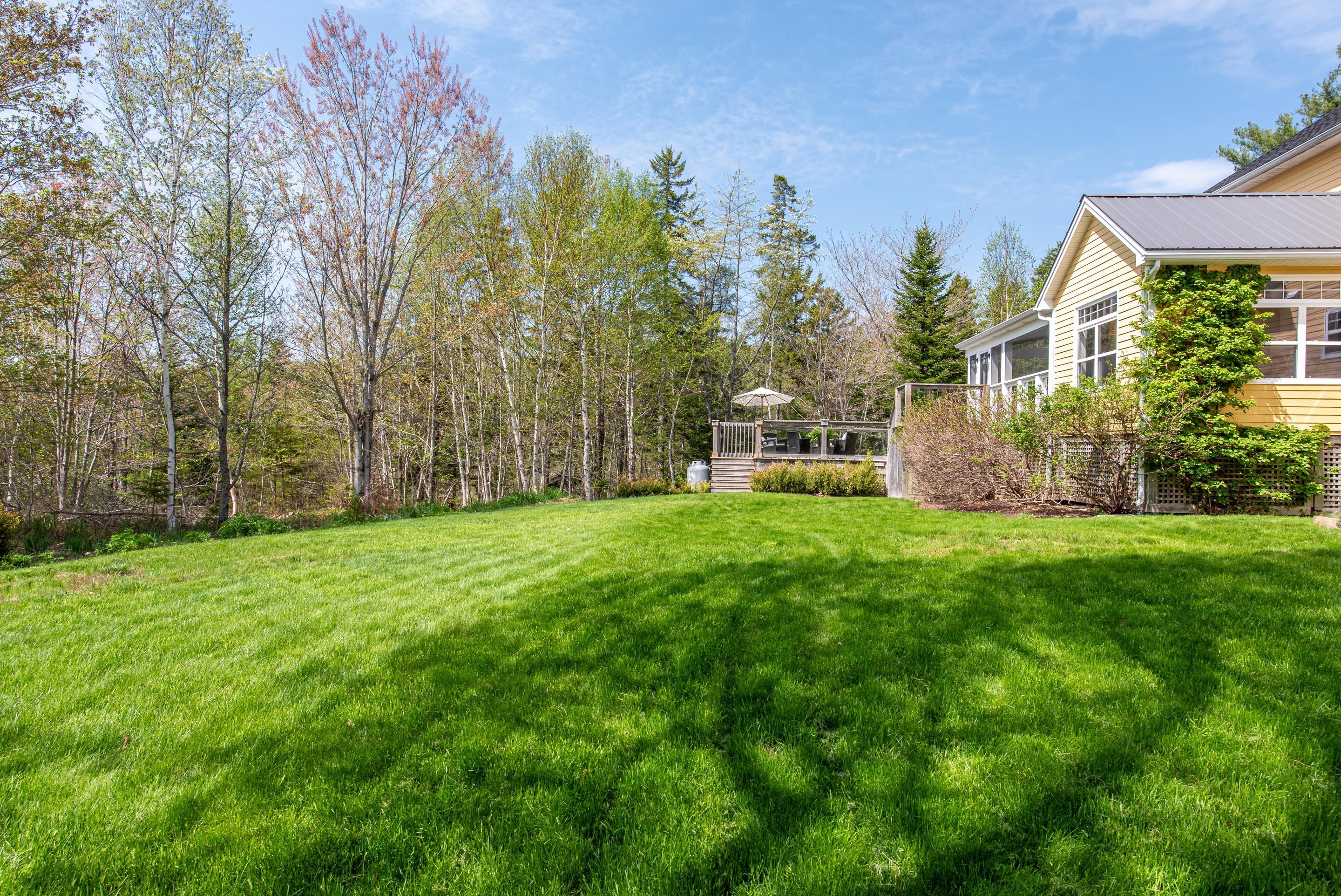 298 saint andrews dr 57