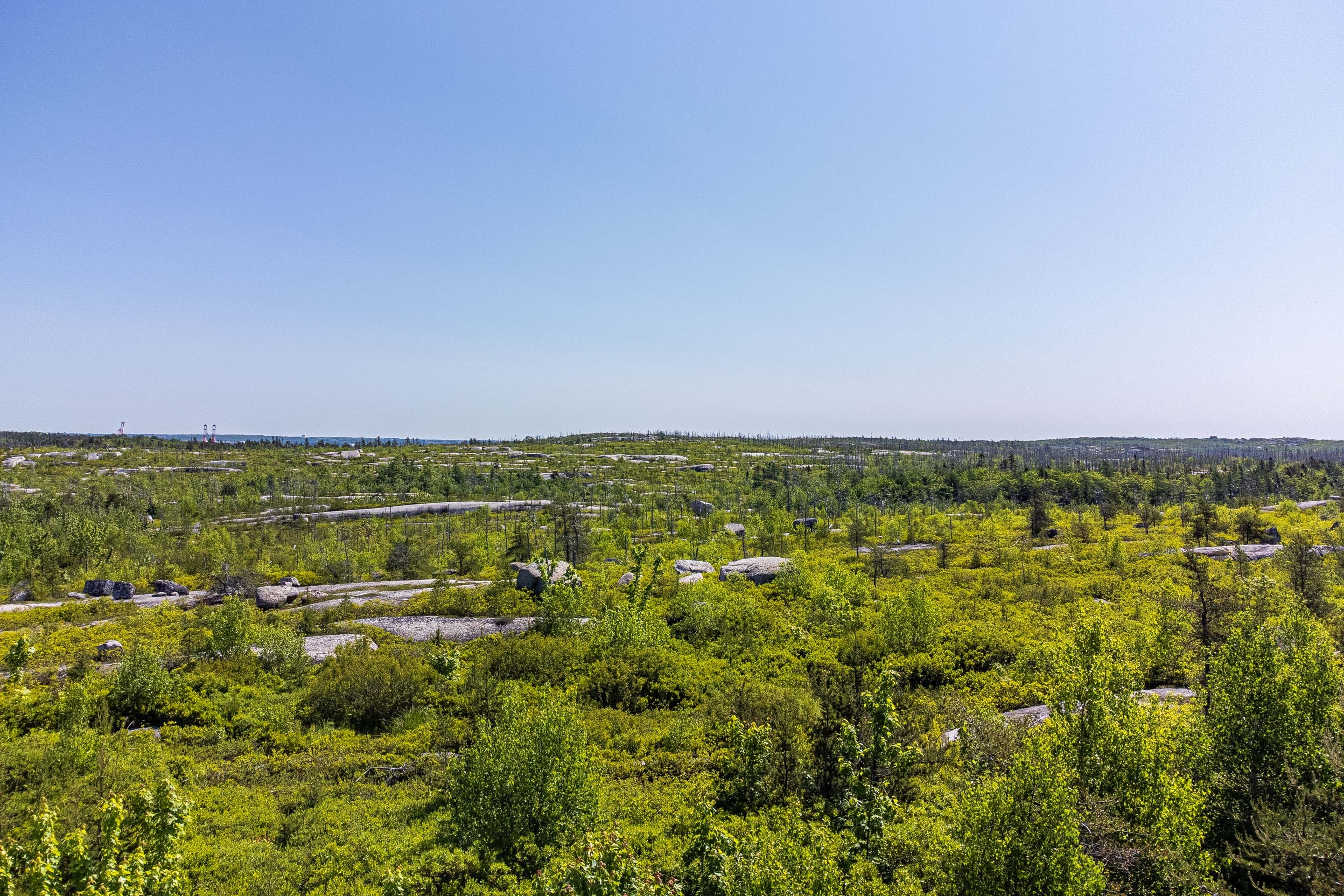 236 mica cres 30