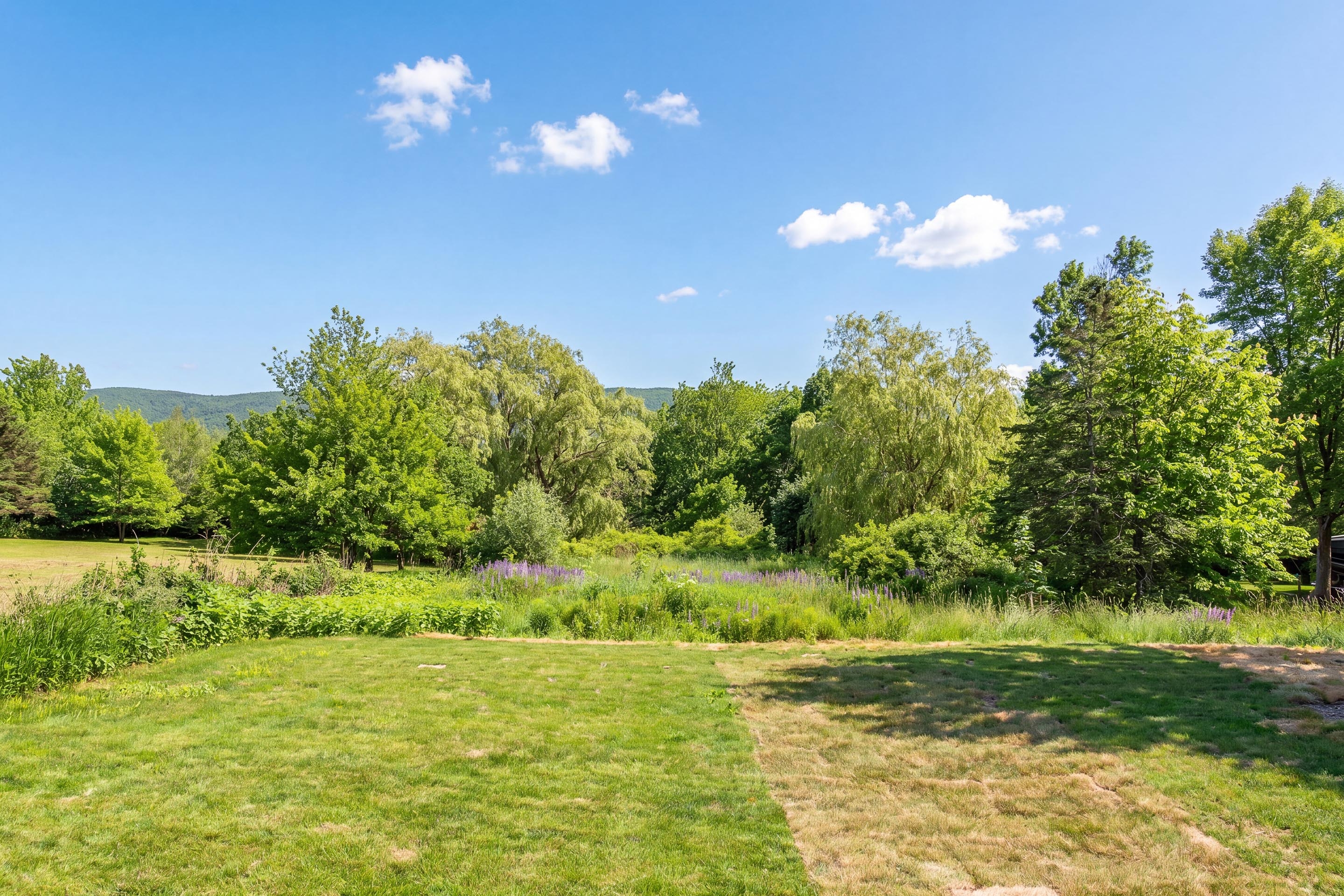 1376 ridge rd 29