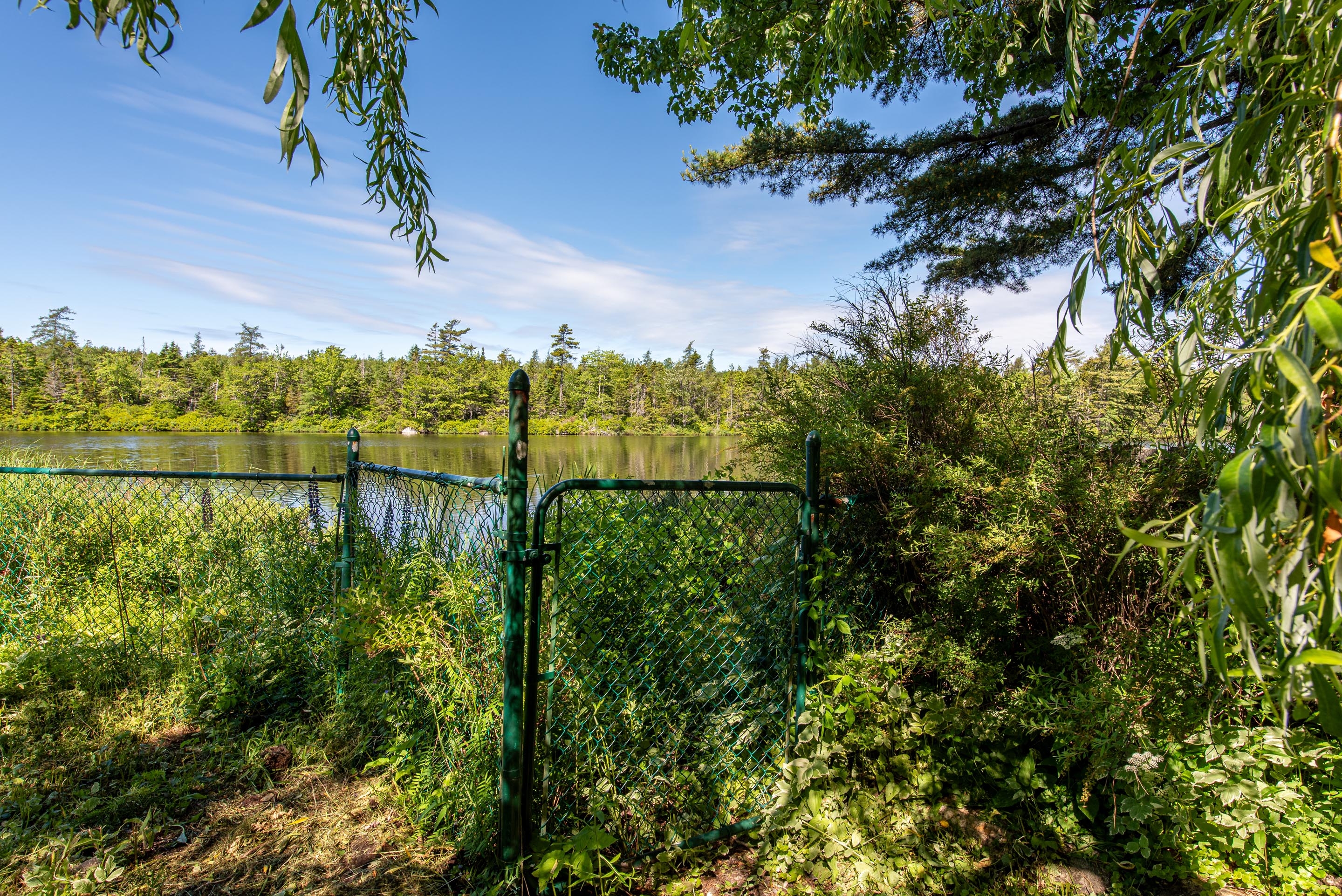 46 silver maple dr 38