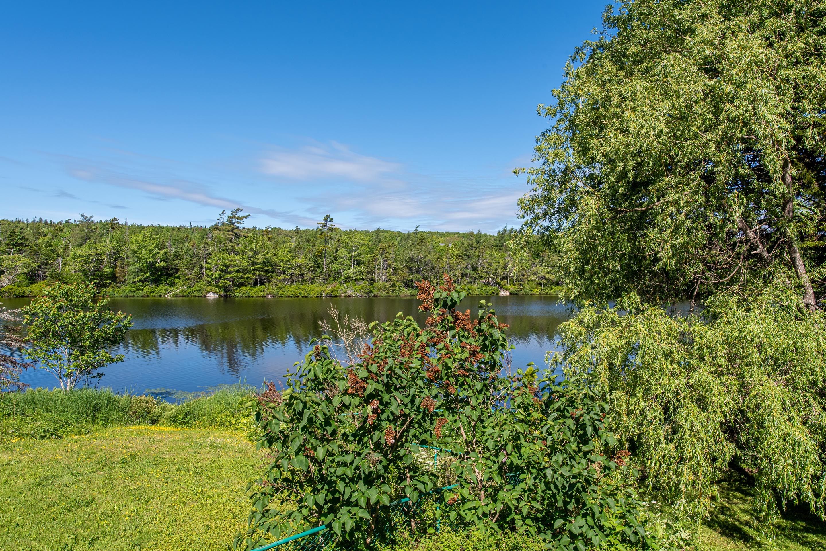 46 silver maple dr 39
