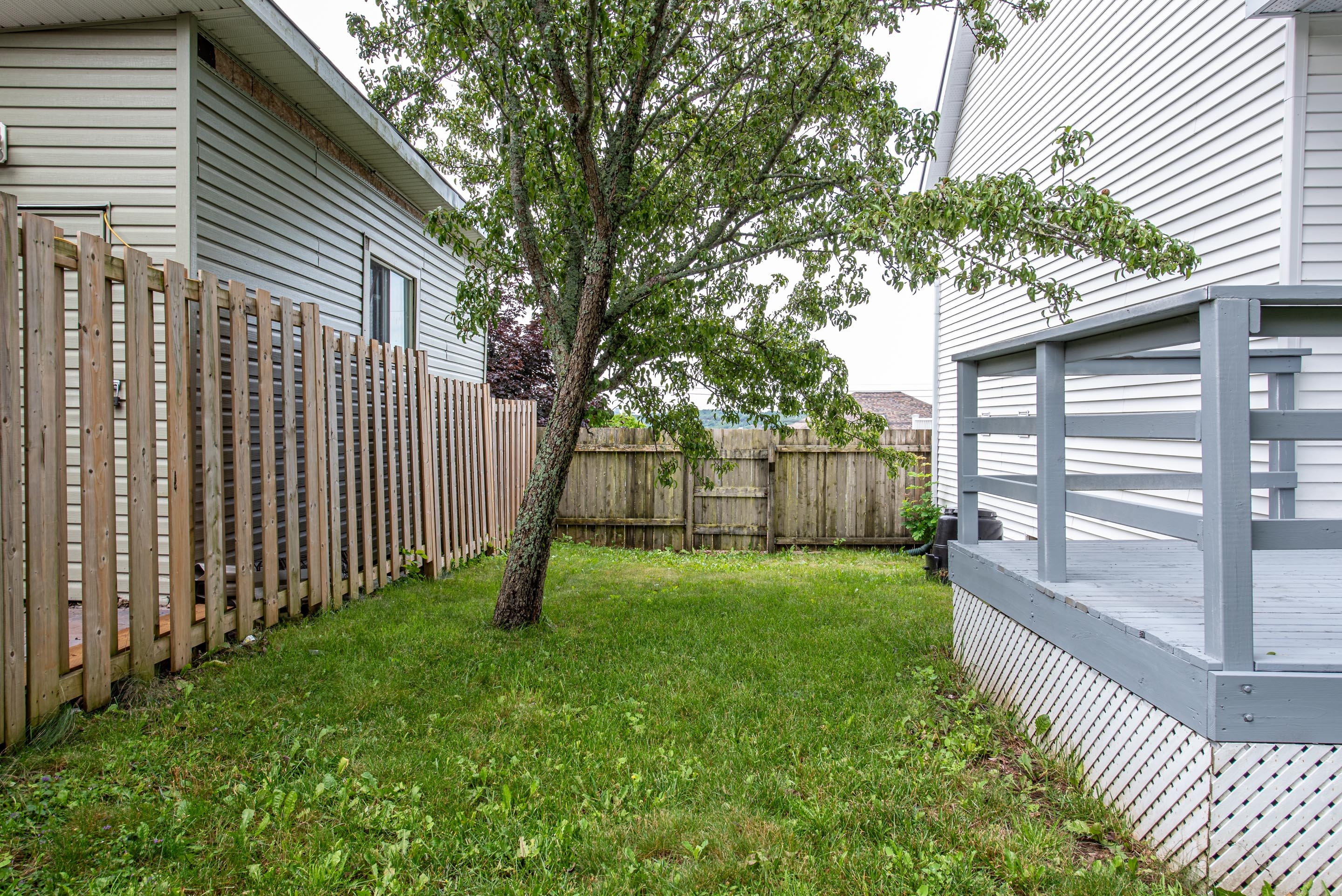 67 gourok ave 29
