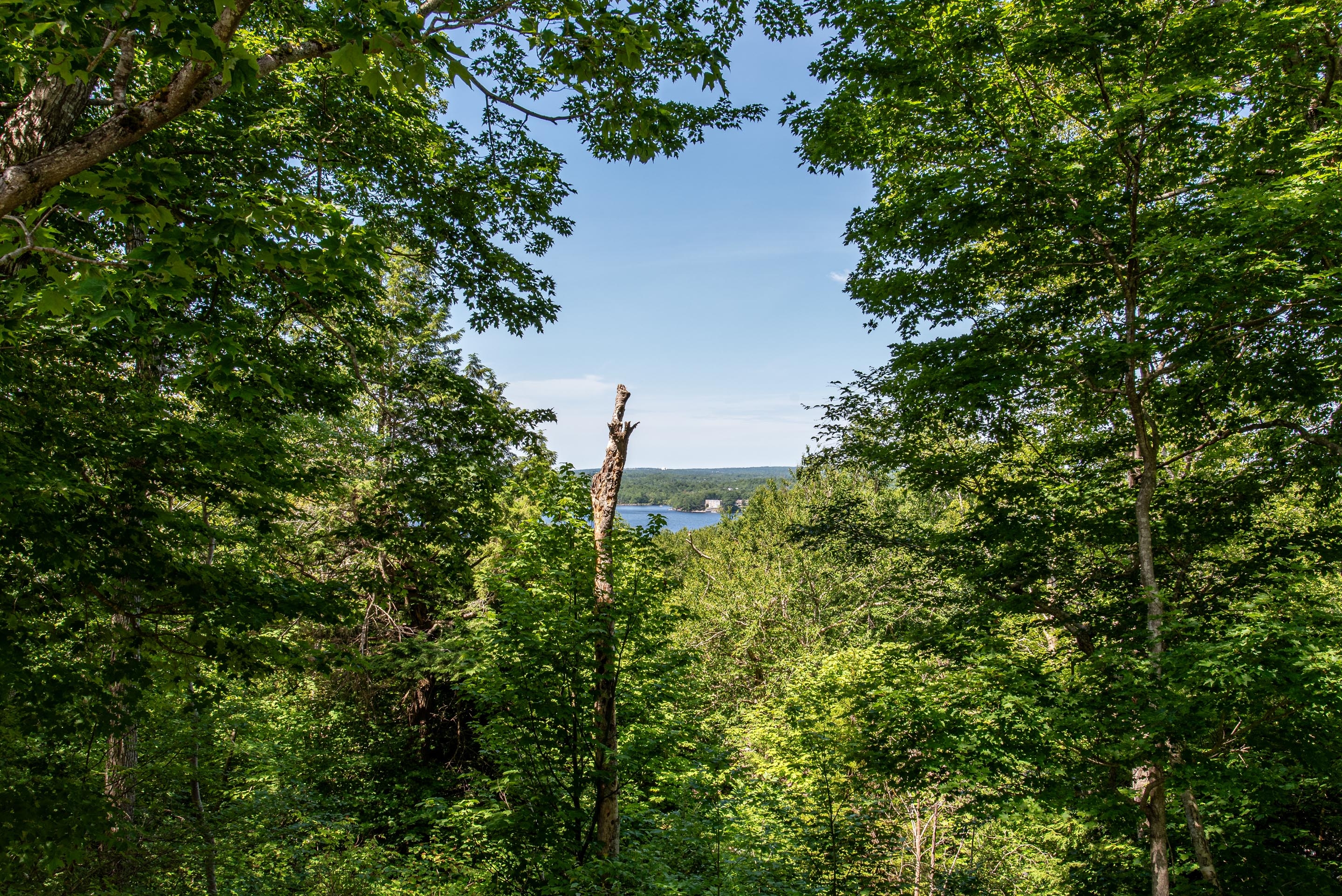 63 rolling hills dr 48