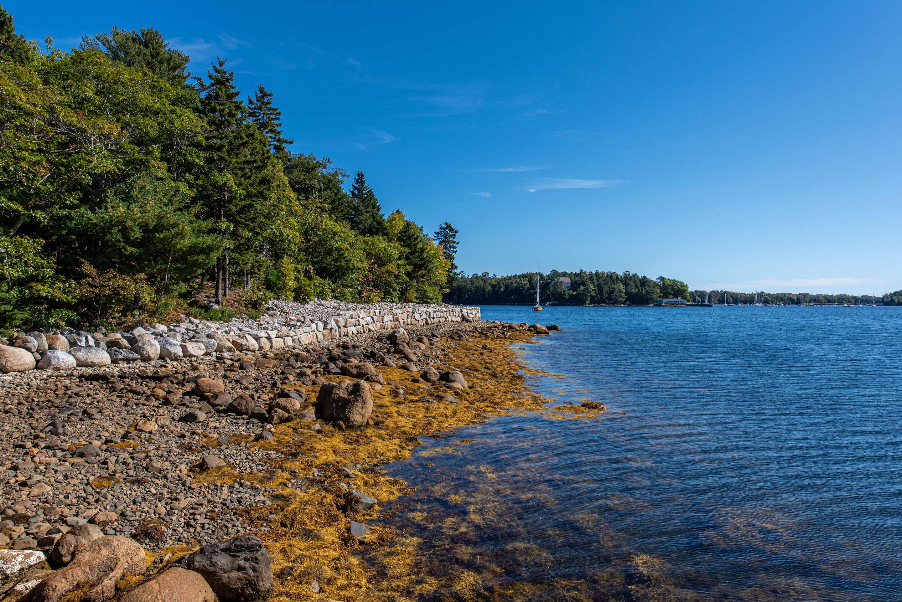 169 swallow point rd 66